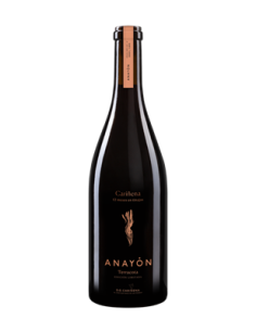 Vino Anayón Cariñena Terracota 2014 | Grandes Vinos 2