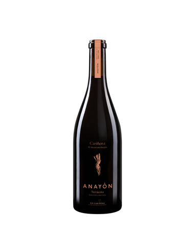 Vino Anayón Cariñena Terracota 2014 | Grandes Vinos