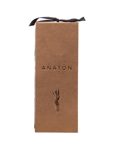 Vino Anayón Cariñena Terracota 2014 | Grandes Vinos