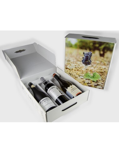 Estuche 3 Botellas de Vino Premium “Cariñenas” | Grandes Vinos