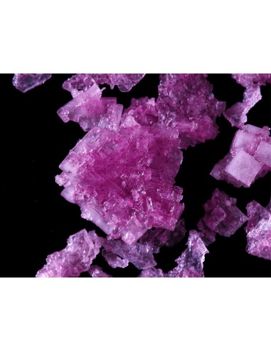 Sal de vino de garnachas centenarias de Fuendejalón