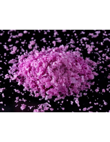 Sal de vino de garnachas centenarias de Fuendejalón