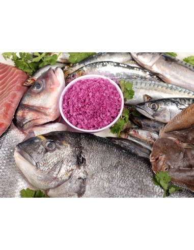 Sal de vino de garnachas centenarias de Fuendejalón