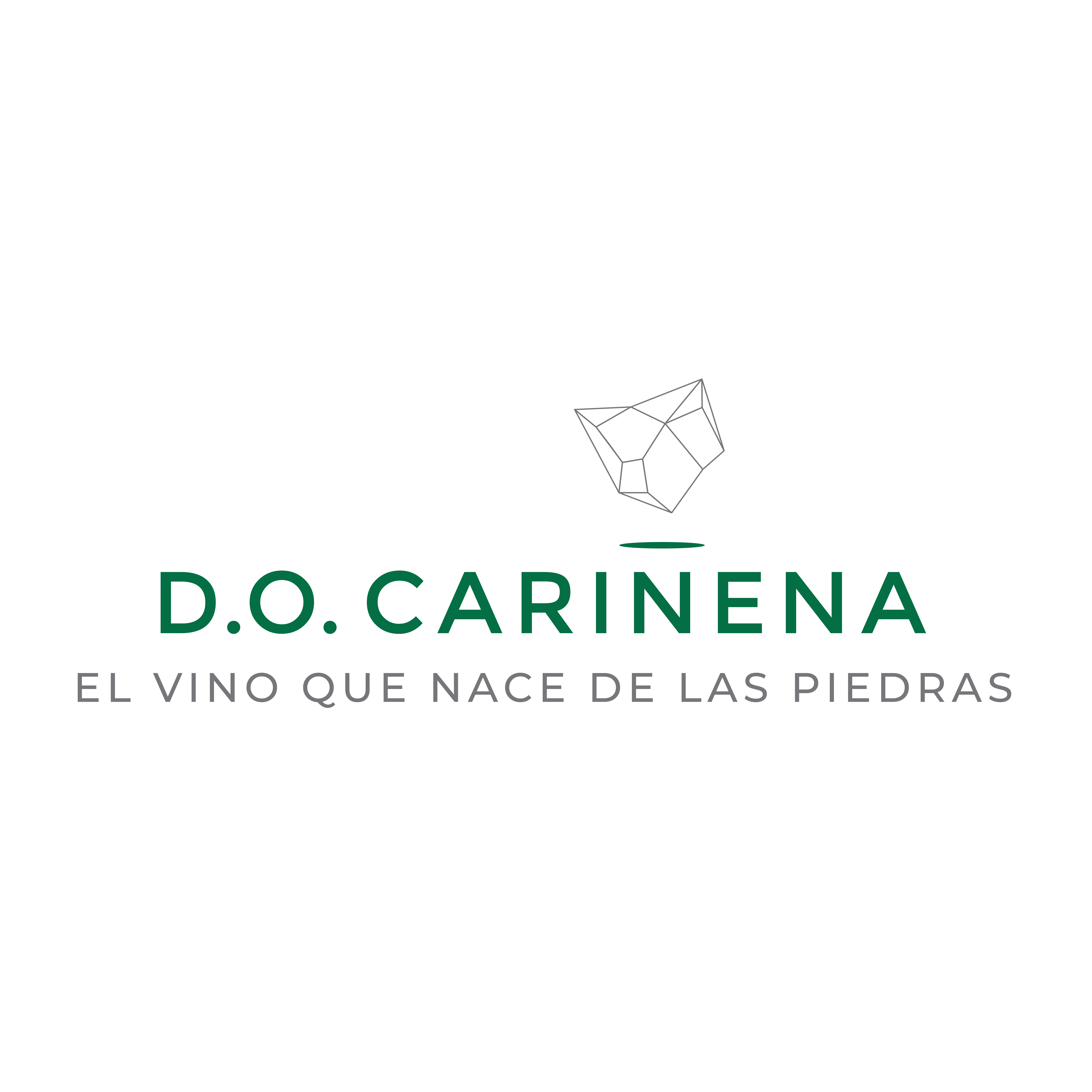 Productos con Cariñena DOP